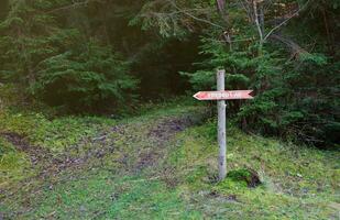 Arrow sign to Mount Hoverla direction hanging peak of Ukrainian Carpathians photo