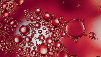 Abstract Colorful Food Oil Drops Bubbles and spheres Flowing on Water Surface video