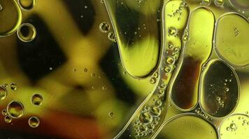huile alimentaire colorée abstraite laisse tomber des bulles et des sphères qui coule sur la surface de l'eau video