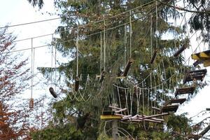 Rope bridge in adventure treetop park for tree climbing and sport, arborismo or accrobranche ropes courses, zip wires outdoor photo