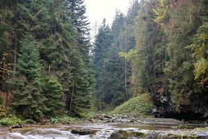 A bright blue river flowing through forest as the sun begins to set in a hidden park along the scenic drive in Hoverla mountains area photo