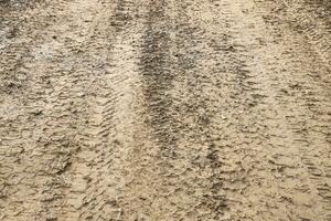 Wheel track on mud. Traces of a tractor or heavy off-road car on brown mud in wet meadow photo