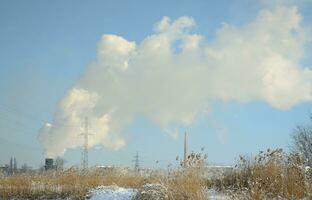 la planta industrial se encuentra detrás del terreno pantanoso, cubierto de nieve. gran campo de juncos amarillos foto