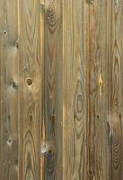 Old grunge dark brown wood panel pattern with beautiful abstract grain surface texture, vertical striped background or backdrop in architectural material decoration concepts, vintage or retro style photo