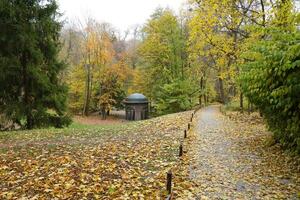 Beautiful Nature Autumn landscape. Scenery view on autumn city park with golden yellow foliage in cloudy day photo