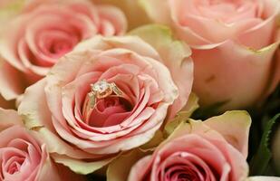 Gold diamond engagement ring in beautiful pink rose flower among big amount of roses in big bouquet close up photo