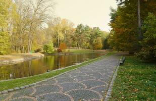 hermosa naturaleza otoño paisaje con lago. paisaje ver en otoño ciudad parque con dorado amarillo follaje en nublado día foto