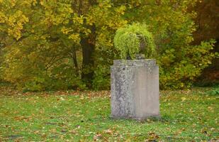 Beautiful Nature Autumn landscape. Scenery view on autumn city park with golden yellow foliage in cloudy day photo