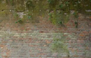 Very old brick stone wall of castle or fortress of 18th century. Full frame wall with obsolete dirty and cracked bricks photo