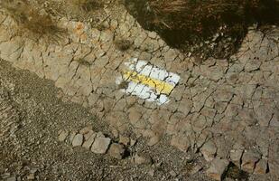 Walking trail background. Yellow and white forest path on brown tree trunk. Guide sign made with paint on hiking trail. Symbol points right way to go photo