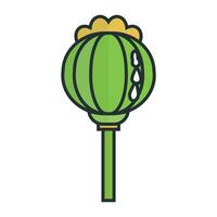 Opium icon. Opium Poppy and latex. Vector. vector