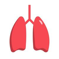 Flat design lung icon. Vector. vector