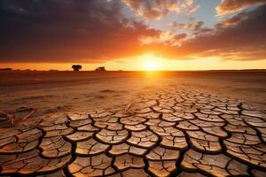 Stunning sunset over a dried out field. The golden sun casts a warm glow over the cracked earth, creating a dramatic and beautiful scene. Generative AI photo