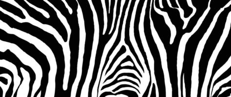 Trendy zebra skin pattern background. Abstract art background vector design with animal skin, doodle. Creative illustration for fabric, prints, cover, wrapping paper, textile and wallpaper.