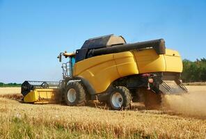 Combine harvester harvesting golden ripe wheat in agricultural field photo