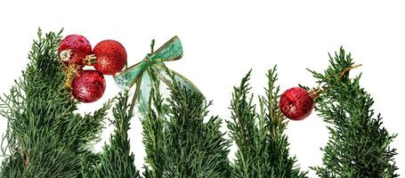 Navidad ornamento abeto árbol esferas guirnalda aislado en blanco o transparente antecedentes. foto