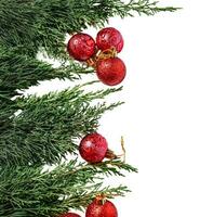 Christmas ornament fir tree spheres garland isolated on white or transparent background. photo