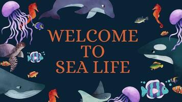 Welcome to sea life, animated video template.