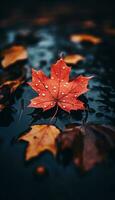 AI generated 4K Colorful leaf AMOLED Wallpaper for Mobile photo