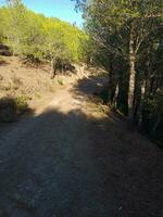 mágico paisaje de suelo la carretera Entre naturaleza foto