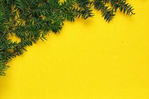 Green spruce branch on yellow background with copy space. Christmas tree decoration. New year, winter holiday card. Fir, pine twig. Nature minimal concept photo