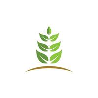 Logos of green Tree leaf ecology vector