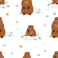 naadloos patroon met marmotten met sneeuw png