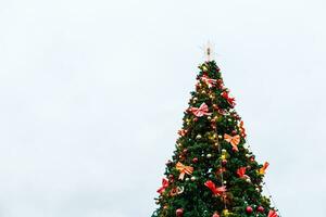 fir christmas tree with color presets and balls on branches photo