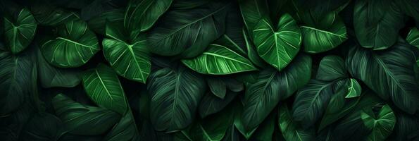 Lush green monstera leaves background, Tropical foliage in nature. AI Generative photo