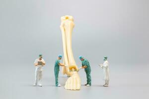 Miniature people , Anatomy model of the human ankle joint with a doctor on a grey backdrop photo