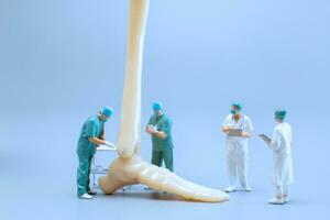 Miniature people , Anatomy model of the human ankle joint with a doctor on a blue backdrop photo