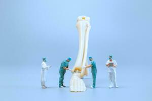 Miniature people , Anatomy model of the human ankle joint with a doctor on a blue backdrop photo