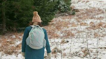 mulher dentro casaco e chapéu anda em através floresta dentro montanhas, unidade com natureza, lento movimento, romênia, Cárpatos. viajante, turista, prazer e relaxamento. sobe acima video
