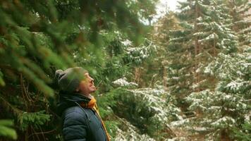 uomo nel cappello e giù giacca con sciarpa passeggiate attraverso foresta nel montagne, inverno volta, riposo e piacere, lento movimento, concetto di umore e unità con natura. bellissimo paesaggio video