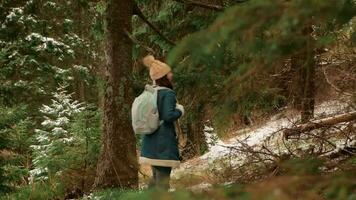 embaçado mulher dentro casaco e chapéu anda em através floresta dentro montanhas, unidade com natureza, lento movimento, romênia, Cárpatos. viajante, turista, prazer e relaxamento. video