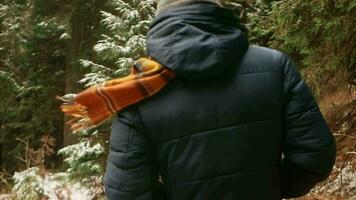 Mens in hoed en naar beneden jasje met sjaal wandelingen door Woud in bergen, winter tijd, rust uit en genoegen, langzaam beweging, concept van humeur en eenheid met natuur. video