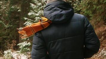 homem dentro chapéu e baixa Jaqueta com cachecol anda em através floresta dentro montanhas, inverno tempo, descansar e prazer, lento movimento, conceito do humor e unidade com natureza. video