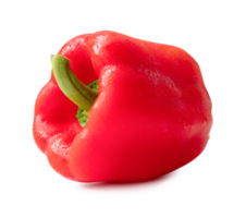 Wet red bell or sweet pepper isolated with clipping path and shadow in png file format