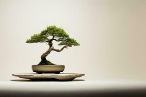 ai generado miniatura bonsai árbol en un cerámico maceta en un antecedentes con un Copiar espacio. foto