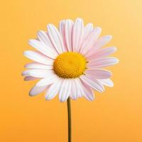 AI generated A daisy flower with a large pattern on a light background. photo