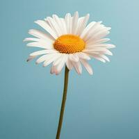 AI generated A daisy flower with a large pattern on a light background. photo