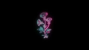 bloemen met een gloeiend neon effect geanimeerd abstract beweging Aan zwart achtergrond video