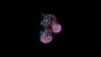 flowers with a glowing neon effect animated abstract motion on black background video