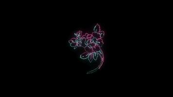 bloemen met een gloeiend neon effect geanimeerd abstract beweging Aan zwart achtergrond video