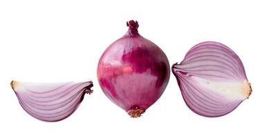 Front view of fresh red or purple onion with half and quarter in set isolated on white background with clipping path photo