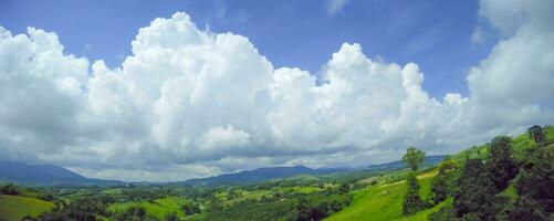 Blue sky panorama with clouds over tops of green trees photo