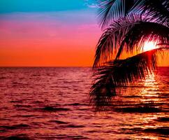 Beautiful sunset tropical beach with palm tree and pink sky for travel and vacation in holiday relax time photo