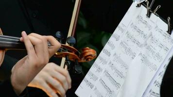 violons dans action sur une concert video