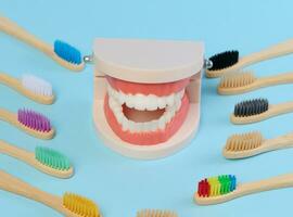 Wooden toothbrush and plastic model of dental jaw with white teeth on a blue background, oral hygiene photo