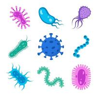 Different bacteria, pathogenic microorganisms, set. Bacteria and germs, microorganisms disease-causing, bacteria, bacteria, viruses, fungi, protozoa, probiotic. Vector illustration.